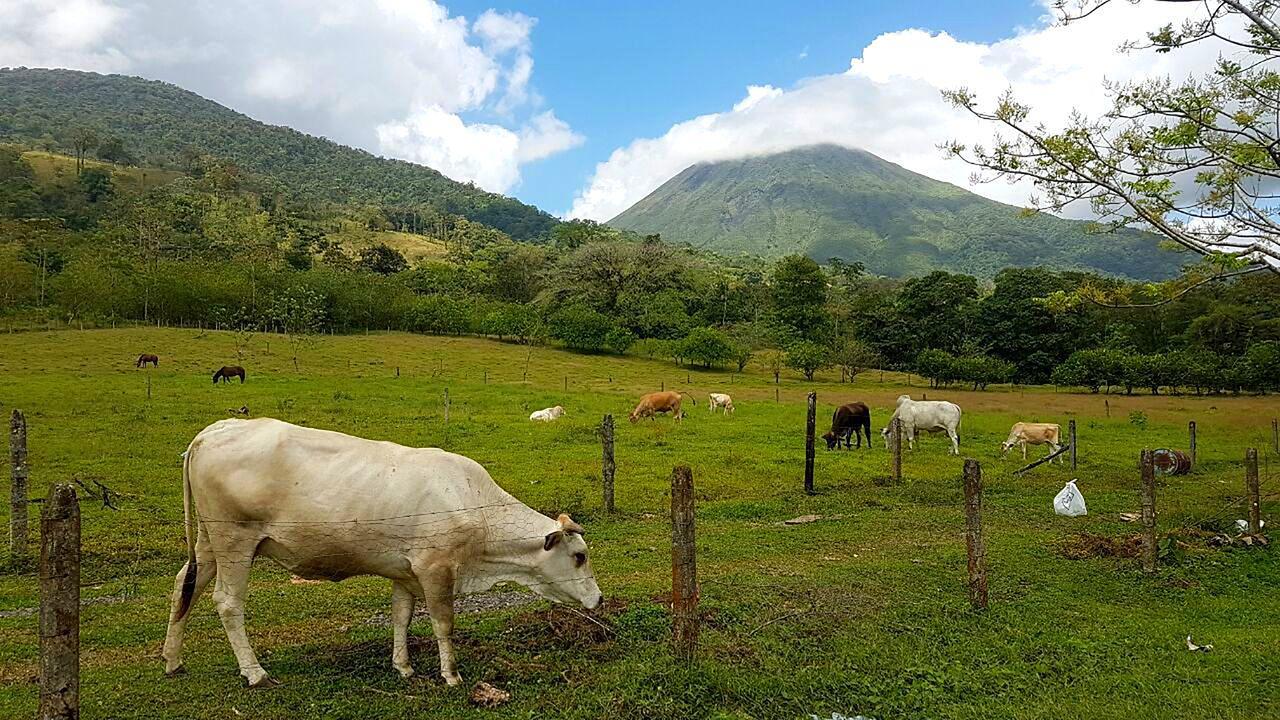 Tio Felix Eco Lodge La Fortuna Zewnętrze zdjęcie